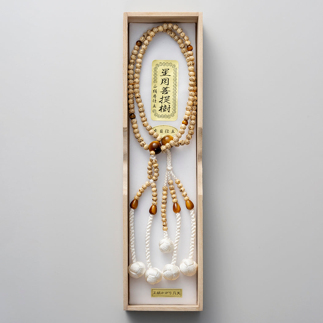 星月菩提樹 / トラメ / 8寸 / 尺 / 尺2