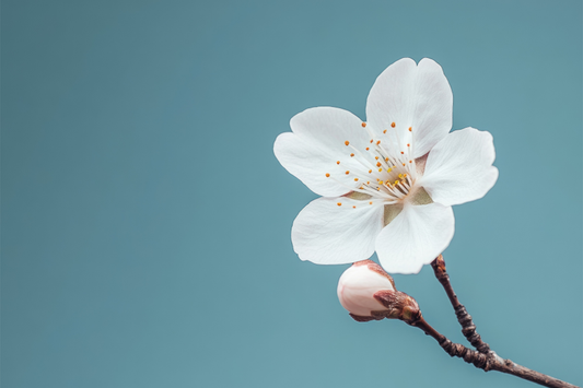 2026年テーマ「世界青年学会　躍動の年」に決定― テーマスタンド販売予定 ―